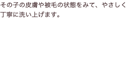 その子の皮膚や被毛の状態をみて、やさしく丁寧に洗い上げます。