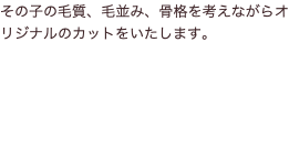 その子の毛質、毛並み、骨格を考えながらオリジナルのカットをいたします。