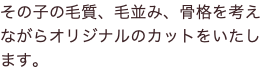 その子の毛質、毛並み、骨格を考えながらオリジナルのカットをいたします。