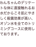 わんちゃんのデリケートな体に直接触れるお水だからこそ肌にやさしく殺菌効果が高い、オゾン水を全てのトリミングコースに使用しております。