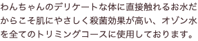 わんちゃんのデリケートな体に直接触れるお水だからこそ肌にやさしく殺菌効果が高い、オゾン水を全てのトリミングコースに使用しております。