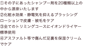 ①その子にあったシャンプー剤を20種類以上の中から源泉いたします ②化粧水効果・静電気を抑えるブラッシングローションで皮膚・被毛をケア ③全てのトリミングコースにイオンドライヤー標準使用 ④アスファルト等で傷んだ足裏を保湿クリームでケア