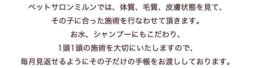 ペットサロンミルンでは、体質、毛質、皮膚状態を見て、 その子に合った施術を行なわせて頂きます。 お水、シャンプーにもこだわり、 1頭1頭の施術を大切にいたしますので、 毎月見返せるようにその子だけの手帳をお渡ししております。